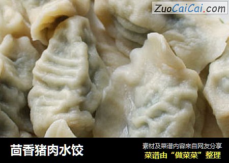 茴香猪肉水饺