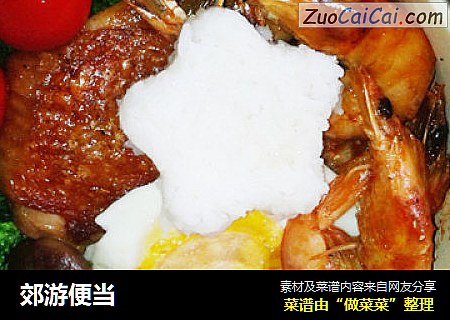 郊游便当