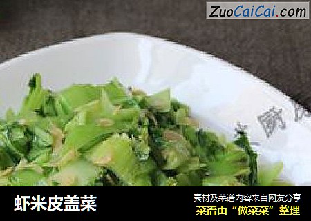 虾米皮盖菜