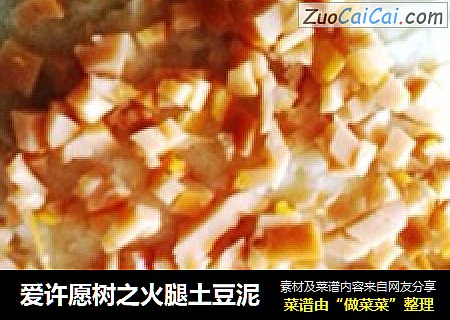 爱许愿树之火腿土豆泥