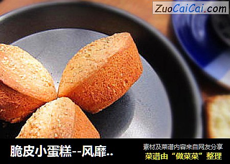 脆皮小蛋糕--风靡一时的无油无水小蛋糕