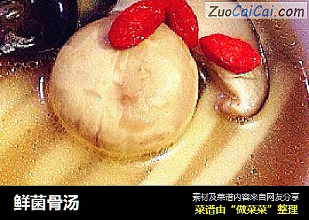 鲜菌骨汤