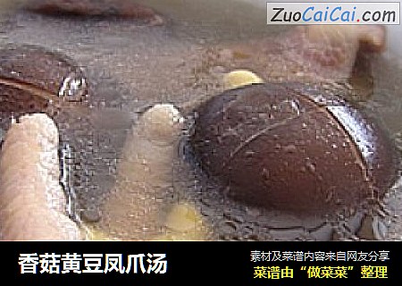 香菇黄豆凤爪汤
