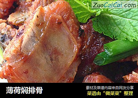 薄荷焖排骨