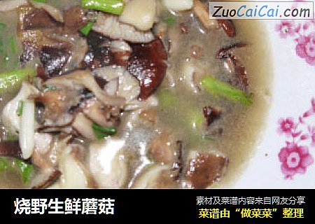 烧野生鲜蘑菇