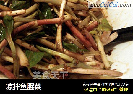 凉拌鱼腥菜