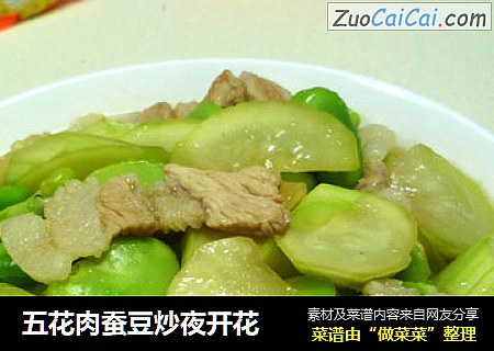 五花肉蚕豆炒夜开花