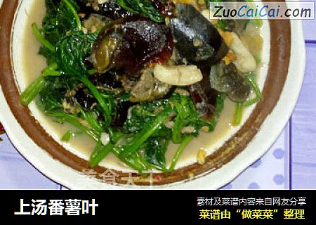 上汤番薯叶