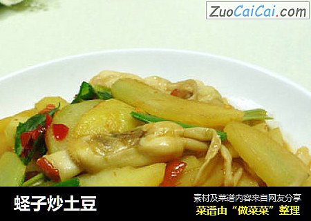 蛏子炒土豆