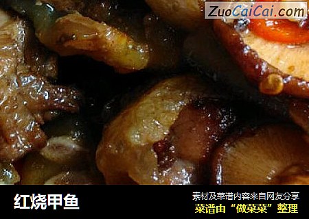 红烧甲鱼