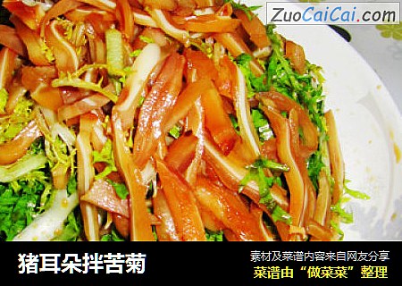 猪耳朵拌苦菊
