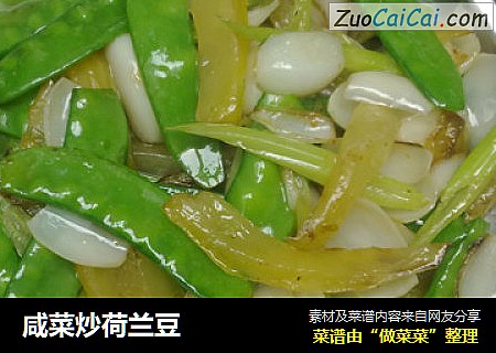 咸菜炒荷兰豆