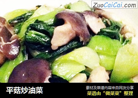 平菇炒油菜