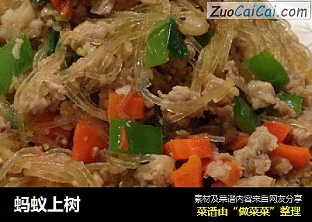 蚂蚁上树