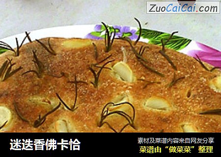 迷迭香佛卡恰