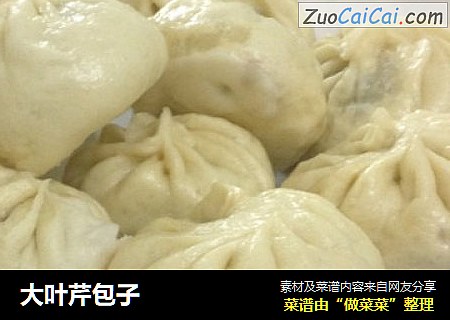 大叶芹包子