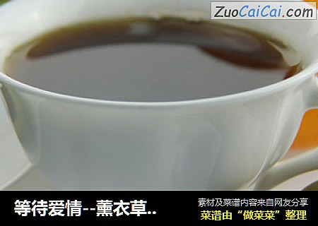 等待爱情--薰衣草花茶