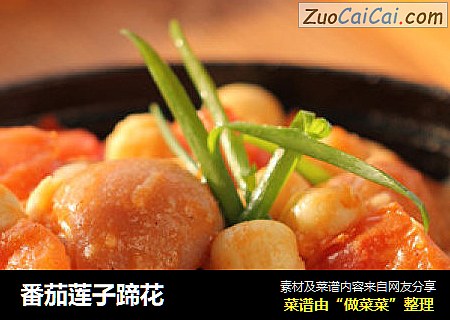 番茄莲子蹄花