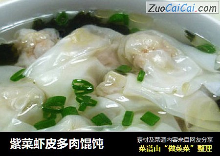 紫菜虾皮多肉馄饨