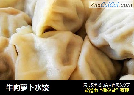 牛肉萝卜水饺