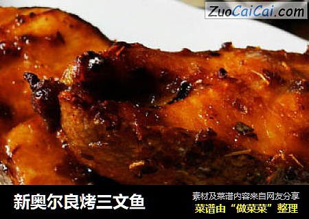 新奥尔良烤三文鱼