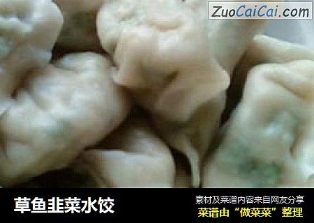 草鱼韭菜水饺