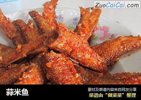 蒜米鱼