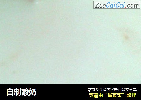 自制酸奶