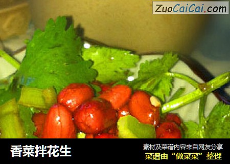 香菜拌花生