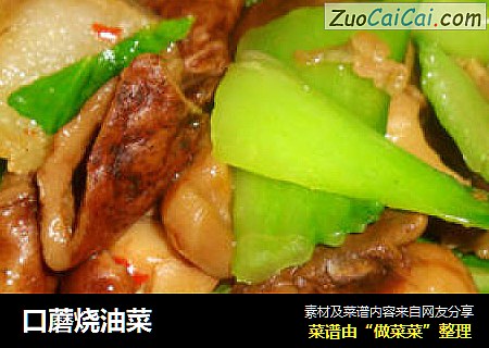口蘑烧油菜