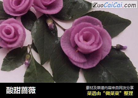 酸甜蔷薇