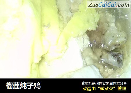 榴莲炖子鸡