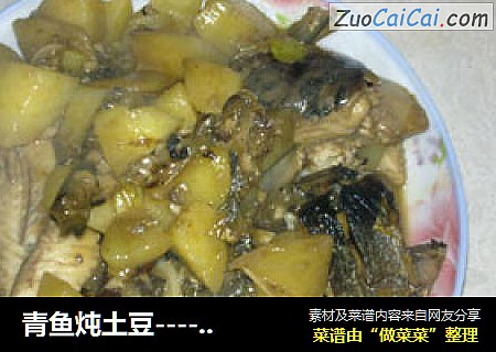 青鱼炖土豆----家常简单版
