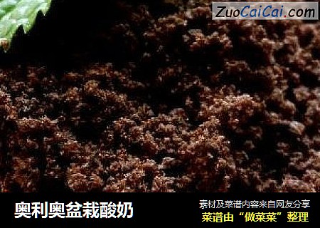 奥利奥盆栽酸奶