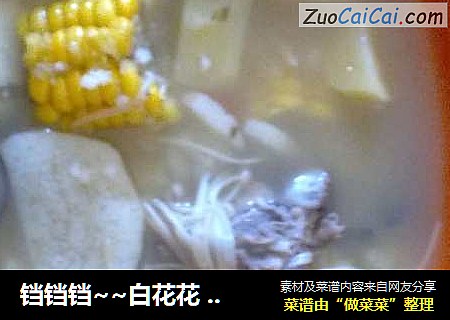 铛铛铛~~白花花 玉米山药排骨汤