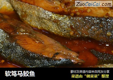 软笃马鲛鱼