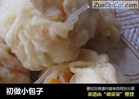 初做小包子