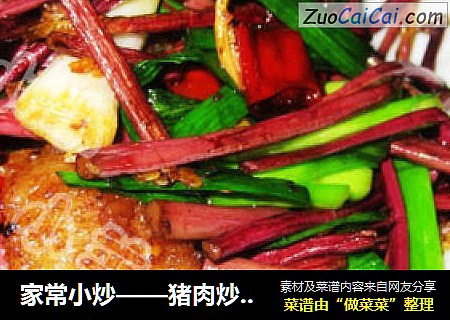 家常小炒——猪肉炒蕨菜