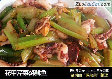 花甲芹菜烧鱿鱼