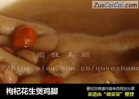 枸杞花生煲鸡脚
