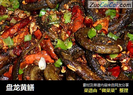 盘龙黄鳝