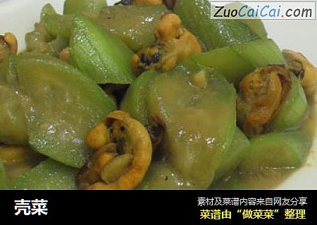 壳菜