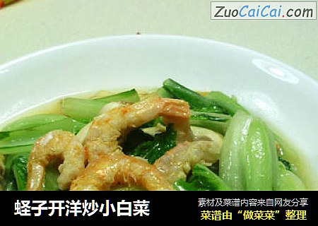 蛏子开洋炒小白菜