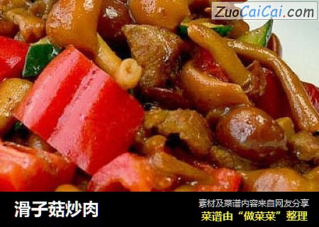 滑子菇炒肉