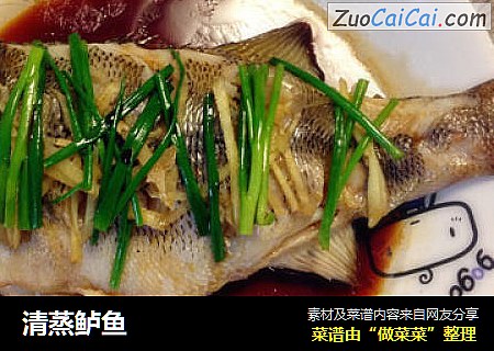 清蒸鲈鱼