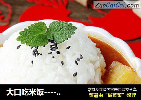 大口吃米饭----番茄牛腩饭