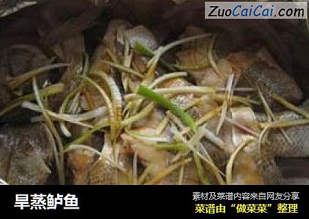 旱蒸鲈鱼