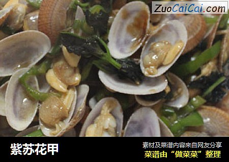 紫苏花甲