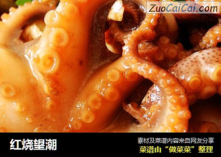 红烧望潮