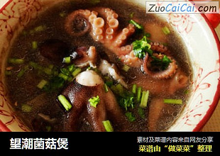 望潮菌菇煲